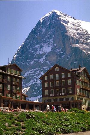 千葉でホテルを探しているのなら