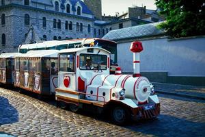 石垣島で贅沢な夜間アクティビティを満喫！星空ガイデッドツアーの魅力を解説