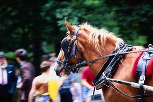 皆生温泉で宿を探しているのなら