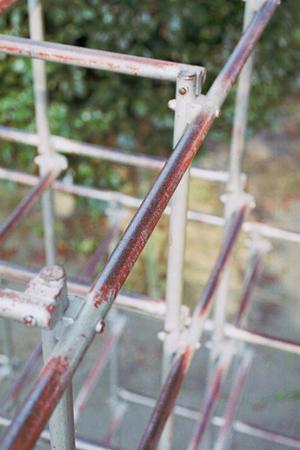 埼玉の神社についてのご紹介です
