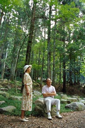広島駅近くのビジネスホテル「東横イン広島駅南口右」 便利なアクセスと快適な設備を誇る宿泊体験
