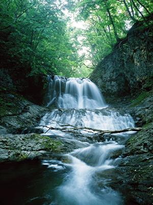 群馬県桐生市にある東横INN桐生駅南口の魅力と利用ガイド