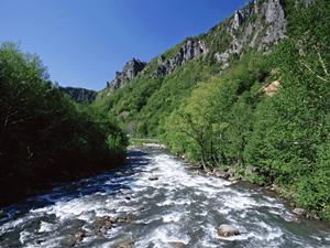 東横INN弘前駅前：便利なアクセスと快適な宿泊体験を提供する青森のビジネスホテル