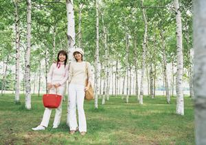 選択の幅が広い様々な伊豆大島ツアー