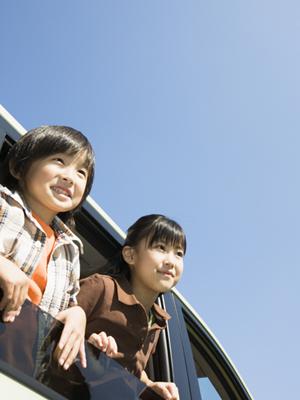 横浜で癒しのひとときを！動物カフェで可愛い動物と触れ合う新しい体験【横浜ペルソナ必見】