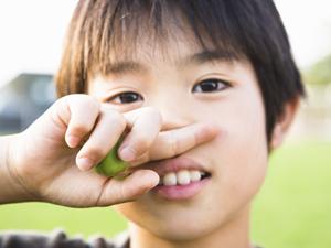 静岡の浜名湖パルパルのご案内です