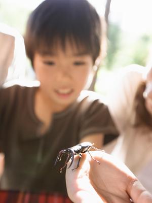 旭川駅から徒歩3分！快適なビジネス・観光に最適な【東横INN旭川駅前一条通】の魅力と詳細情報