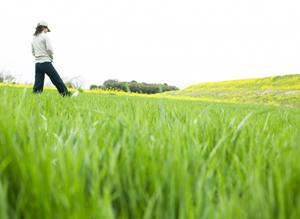 大阪市中央区のビジネスホテル【東横INN淀屋橋駅南】の魅力と詳細情報
