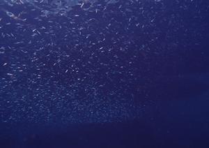 大阪・天王寺エリアの快適なビジネスホテル｜東横INNあべの天王寺の魅力と詳細情報