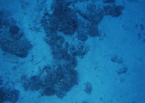 佐世保駅前の快適なたびを実現！東横INN佐世保駅前の全魅力を徹底解説