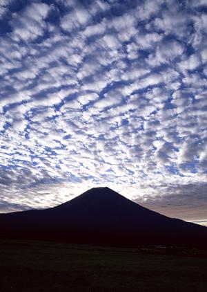 家族で楽しむ石垣島アクティビティ完全ガイド！安全で自然体験満載のおすすめプラン