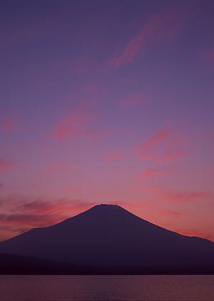 鶯谷エリアのビジネスホテルの魅力と詳細情報：東横INN鶯谷駅前の特徴と利点