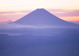 名古屋駅から徒歩5分の快適ステイ｜東横INN名古屋駅桜通口新館の魅力と詳細情報