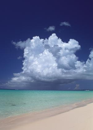 赤羽駅から徒歩3分！ビジネスや観光に最適な東横INN赤羽駅東口の魅力と詳細情報