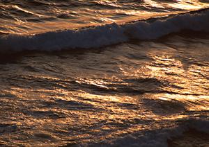 【公式】東横INN前橋駅前｜群馬県前橋市のビジネスホテルと宿泊予約の最適ガイド