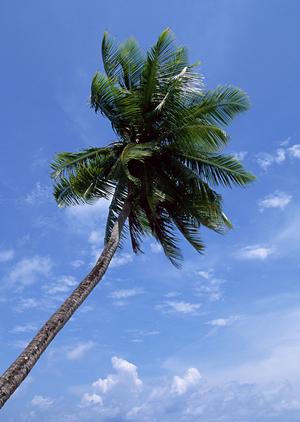 鳥取県米子市に位置するビジネスホテルの決定版｜東横INN米子駅前の魅力と詳細情報
