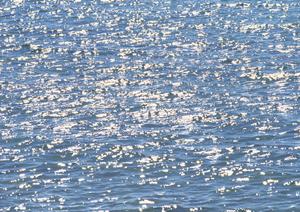 家族旅行に最適！石垣島でのレンタカー利用ガイドとおすすめスポット紹介