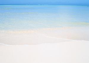 伝統工芸の金箔貼り体験ができるところ