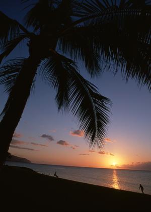 海鮮料理が自慢のひたちなか市の旅館