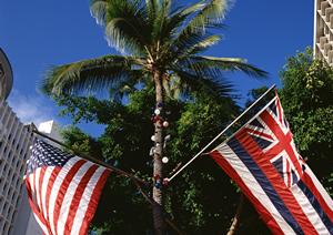 秋田駅から徒歩1分!快適な滞在を約束する東横INN秋田駅東口の魅力と特徴