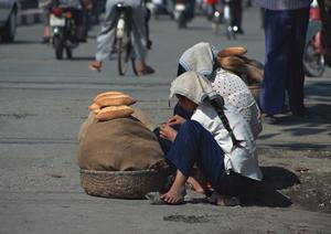東京で楽しむ屋形船体験！美味しい料理と特別な時間を過ごすための完全ガイド