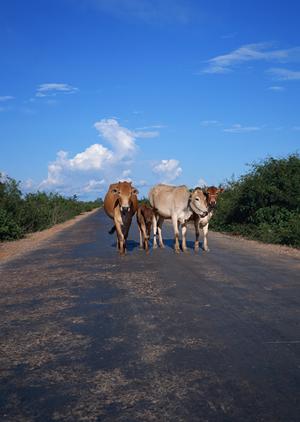 【公式】東横INNアキバ浅草橋駅東口｜東京都台東区のビジネスホテルの魅力と便利なアクセス情報