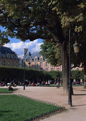 【2024年最新】東横INN大森の魅力と便利な施設情報|東京都大田区のビジネスホテル完全ガイド