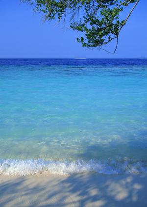 石垣島自然体験！星空ツアーからアクティビティまで現地ガイドが案内