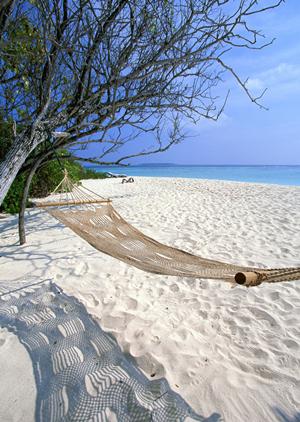 クルーズで世界一周旅行にでかけよう