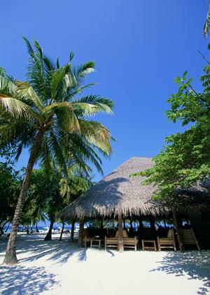 横浜市新子安駅前に位置する快適なビジネスホテル｜東横INN横浜新子安駅前の魅力と詳細情報