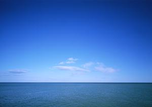 仙台駅近くの快適ビジネスホテル【東横INN仙台駅西口中央】の全貌と魅力