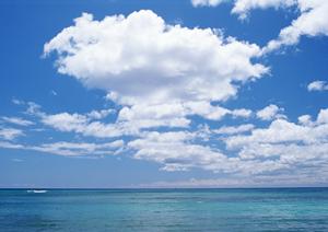 JR九州ホテル鹿児島 – 駅直結の快適な宿泊体験